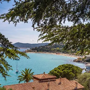 Les Floralies Ii-3 Appartement Le Lavandou